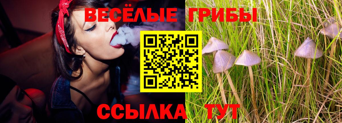 Галлюциногенные грибы Psilocybine cubensis  Псилоцибиновые грибы мухоморы  хочу   Архангельск  Вход с VPN 