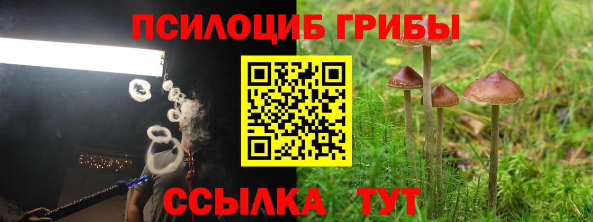 Галлюциногенные грибы Magic Shrooms Архангельск